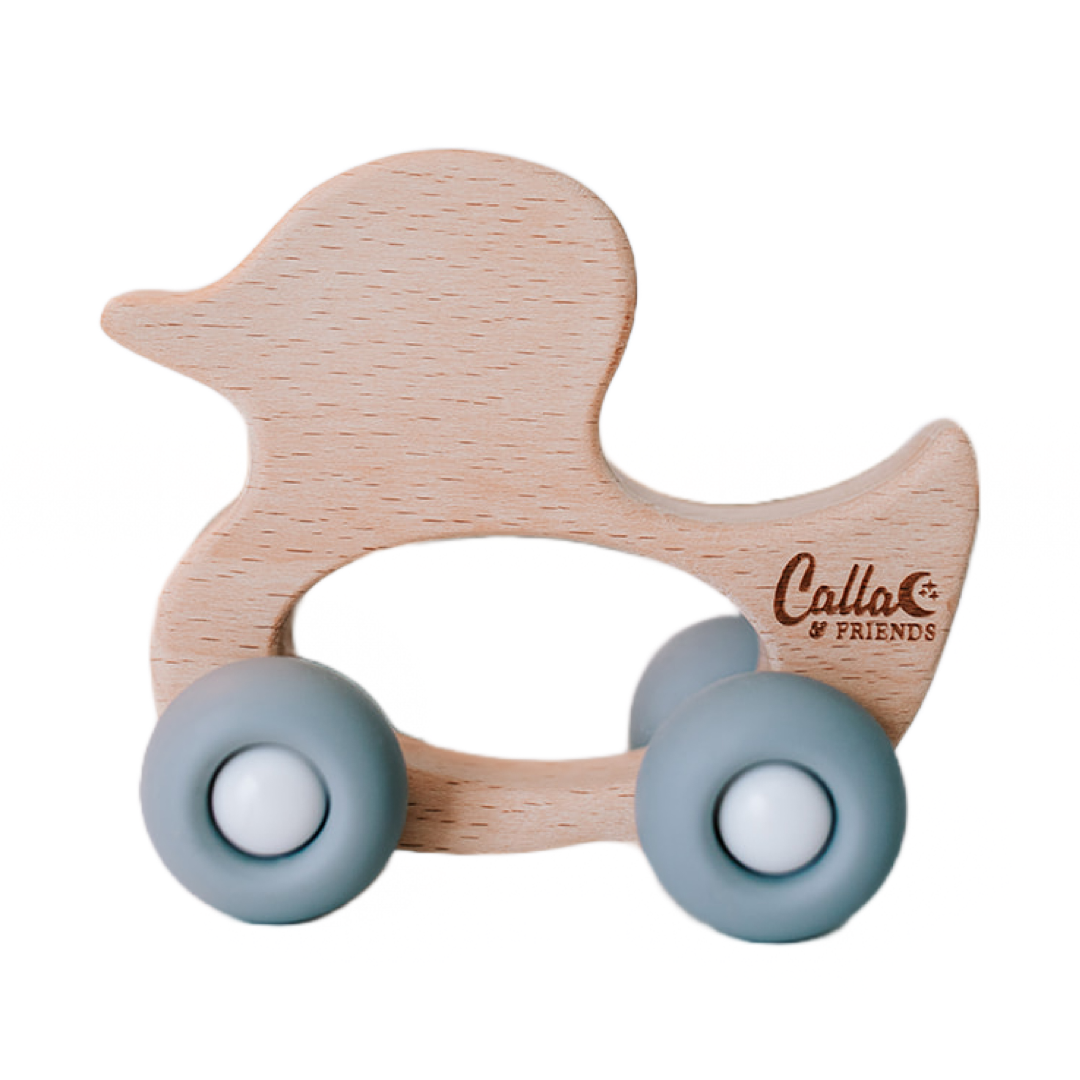 Rollin' Friends - Duck